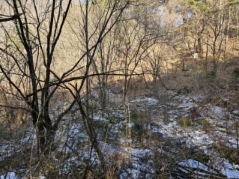 물건 사진 5