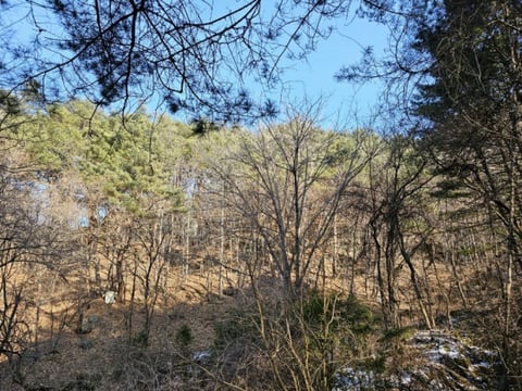 물건 사진 41