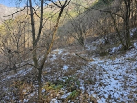물건 사진 9