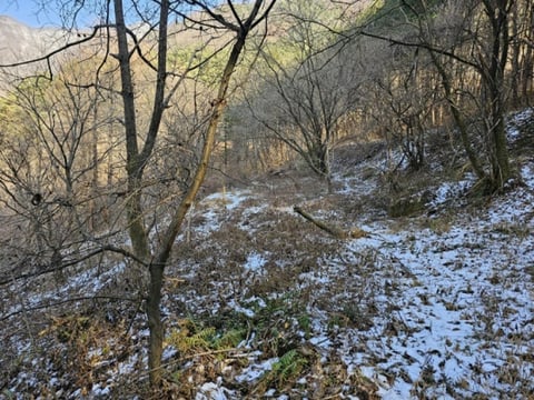 물건 사진 34
