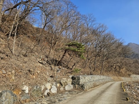 물건 사진 37