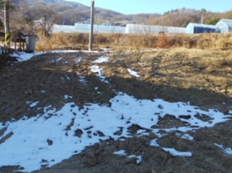 물건 사진 1