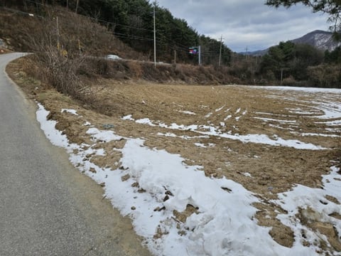 물건 사진 7
