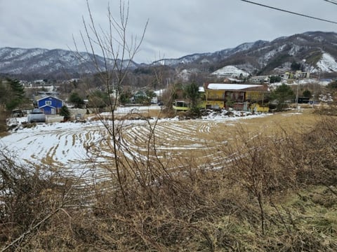 물건 사진 10