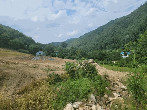 물건 사진 11
