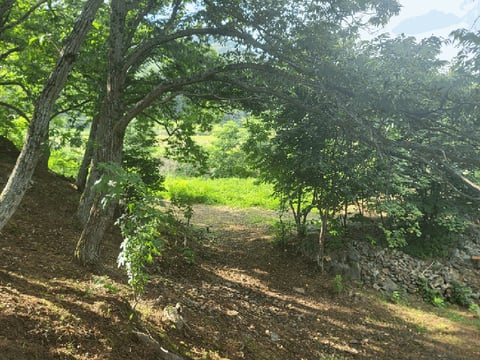 물건 사진 13