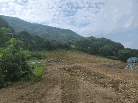 물건 사진 17