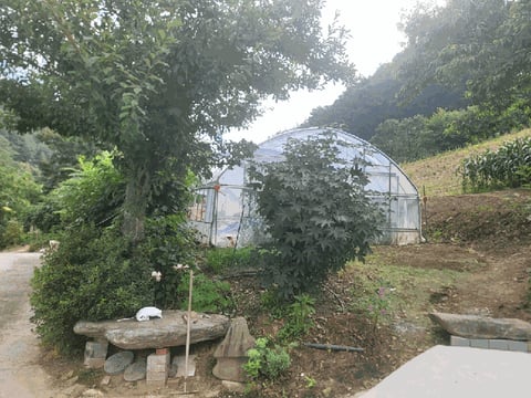 물건 사진 16