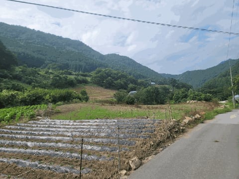 물건 사진 10
