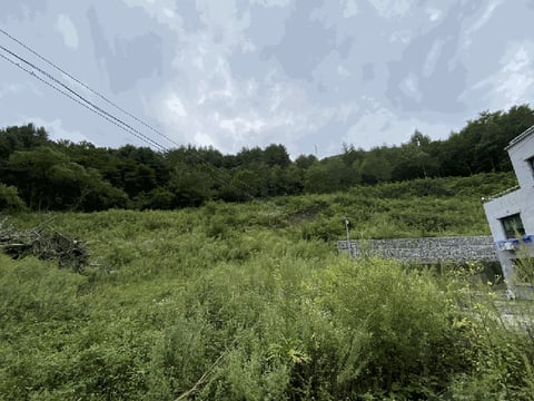 물건 사진 11