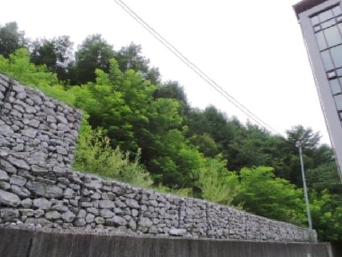 물건 사진 7