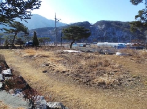 물건 사진 15