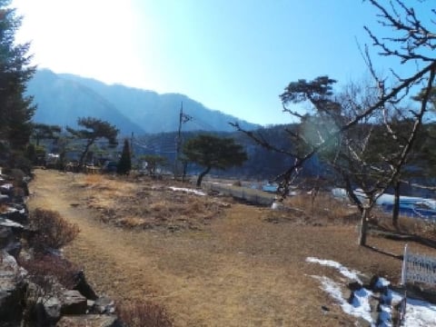 물건 사진 13