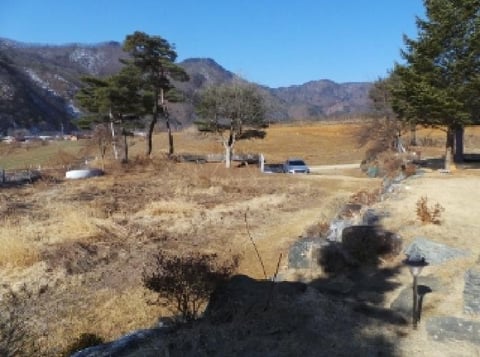 물건 사진 12