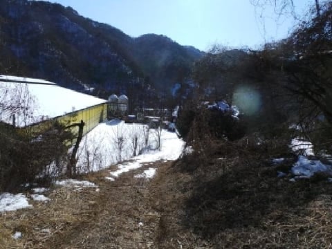 물건 사진 12