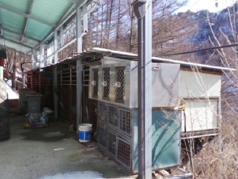 물건 사진 5