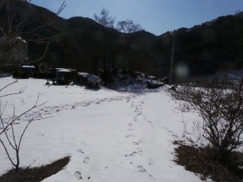 물건 사진 11