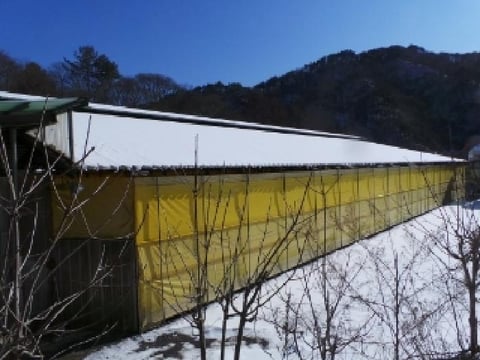 물건 사진 7