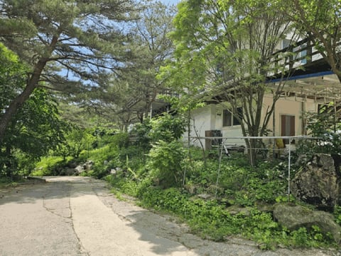물건 사진 139