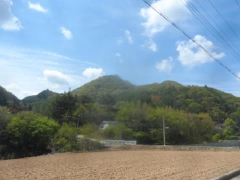 물건 사진 70