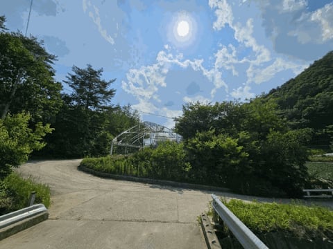 물건 사진 126