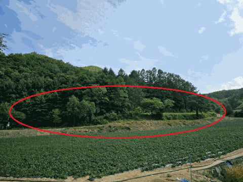물건 사진 93