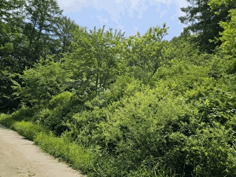 물건 사진 109