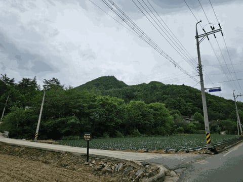 물건 사진 88