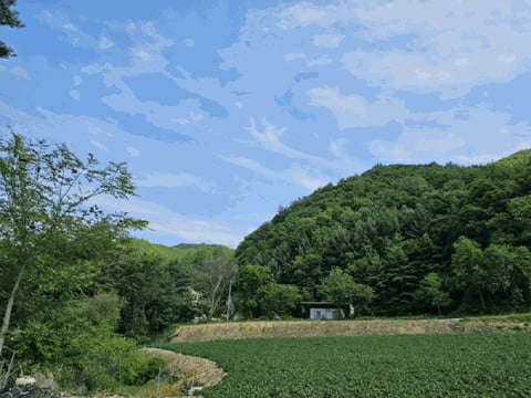 물건 사진 157