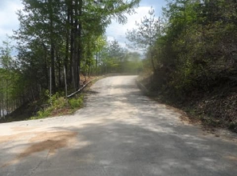 물건 사진 16