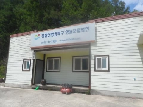 물건 사진 42