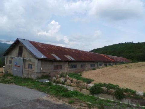 물건 사진 1