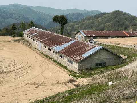 물건 사진 19