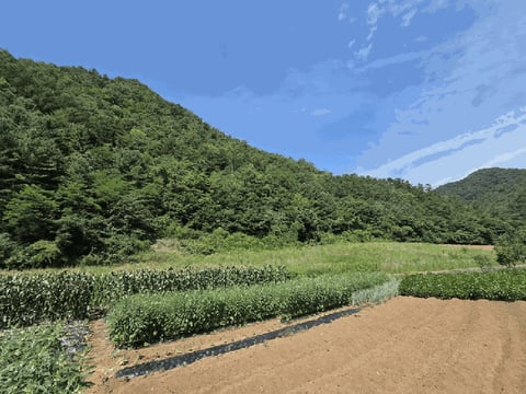 물건 사진 15
