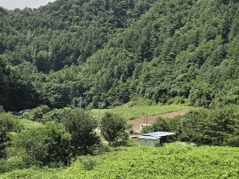물건 사진 10