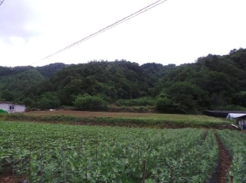 물건 사진 4