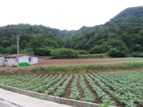 물건 사진 5