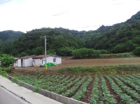 물건 사진 6