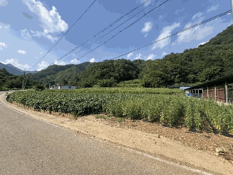 물건 사진 7