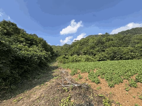 물건 사진 8
