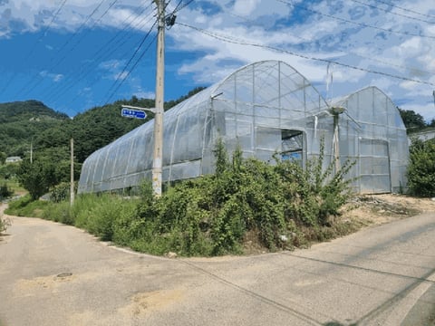 물건 사진 15