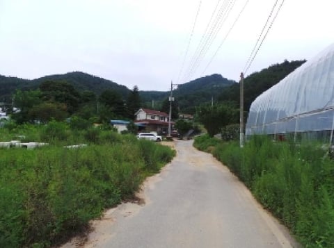 물건 사진 5
