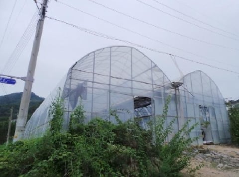 물건 사진 8
