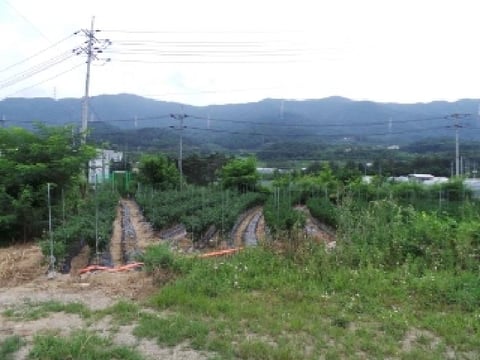 물건 사진 10