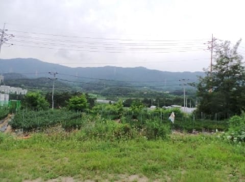 물건 사진 2