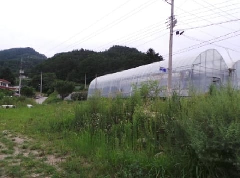 물건 사진 7