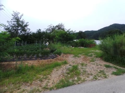 물건 사진 9