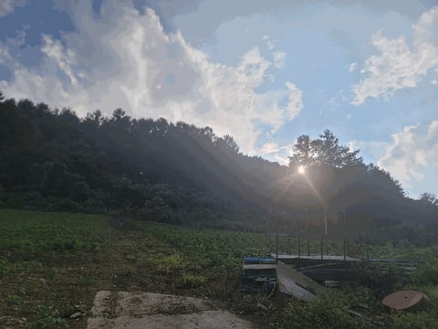 물건 사진 2