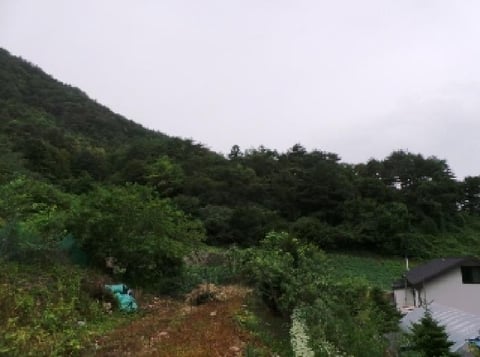 물건 사진 2