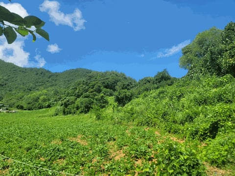 물건 사진 3